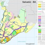 salvador salvador